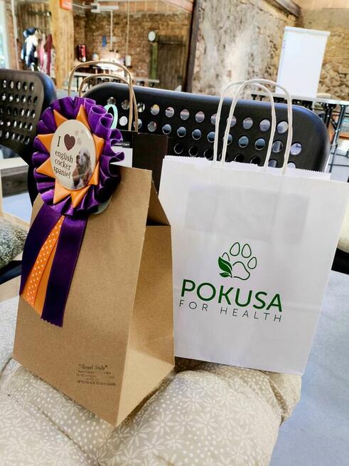 Szkolenie dla groomerów - Cocker Spaniel Angielski