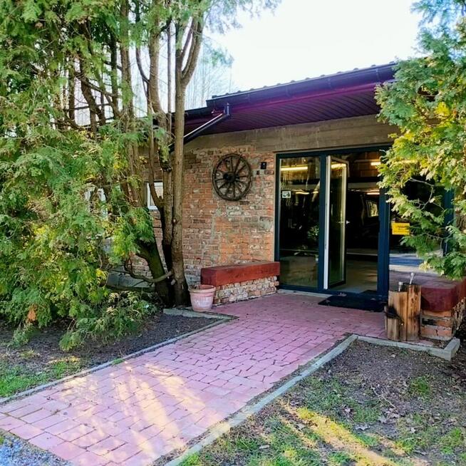 Szkolenie dla groomerów - Cocker Spaniel Angielski