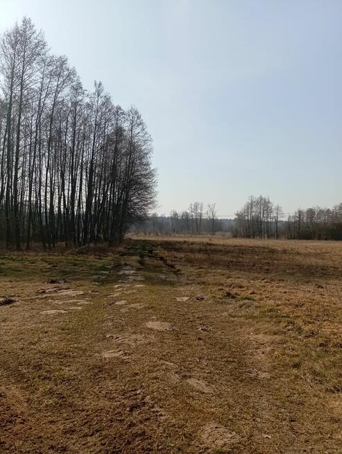 Sprzedam bezpośrednio siedlisko z budynkami gospodarczymi .