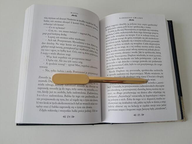 Książka „Nacja” T. Pratchett, do sprzedania