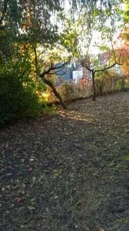 Sprzedaż prawa do dzierżawy działki ROD w Warszawie- Zacisze