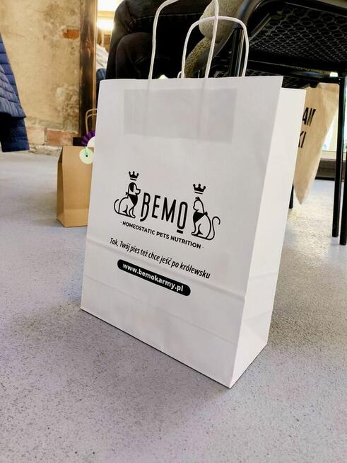 Szkolenie dla groomerów - Cocker Spaniel Angielski