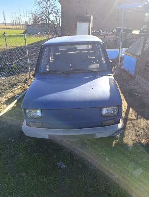 Maluch maly fiat zarejestrowany