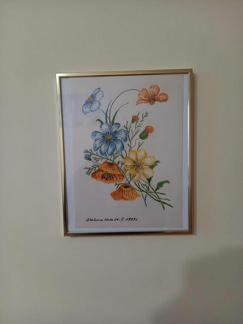 Zestaw obrazów w ramkach za szkłem,