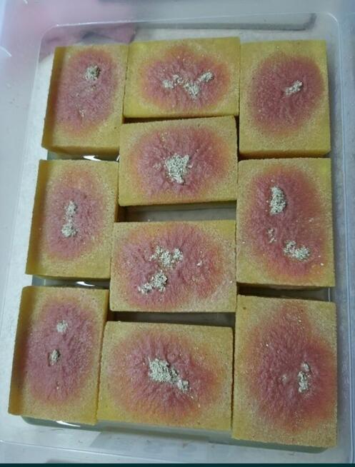 Auloforus - pokarm dla ryb. 25 zł Wysyłka !