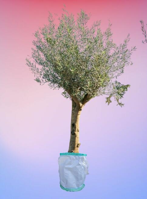 Kontenery elastyczne, big bag, planterbag