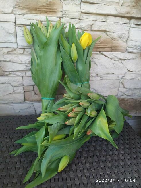 Tulipany bukiety