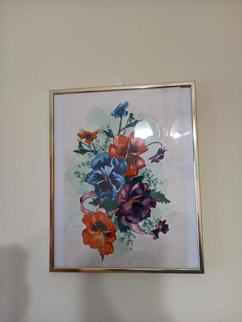 Zestaw obrazów w ramkach za szkłem,