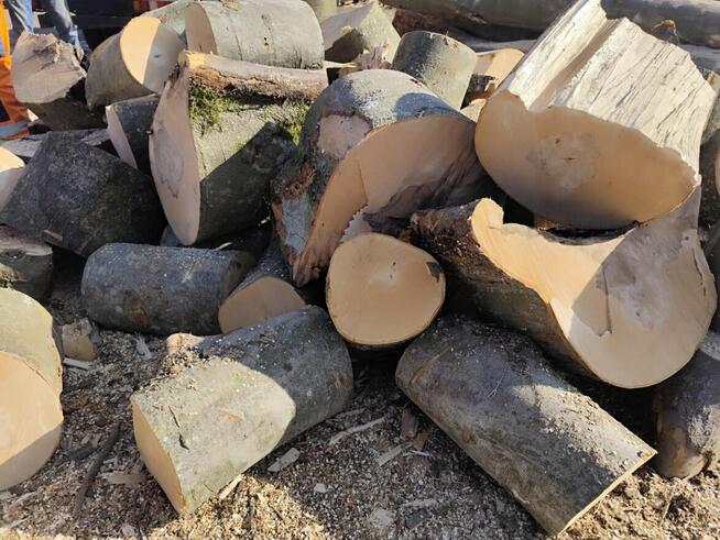 DREWNO do kominka MAZURY drewno na OPAŁ tanio!