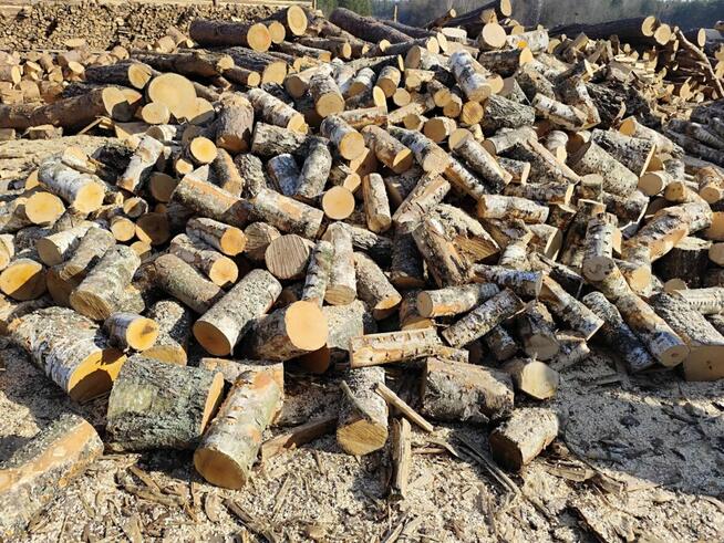 SPRZEDAŻ DREWNA opałowego kominkowego na OPAŁ