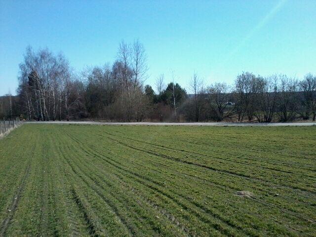 Sprzedam działkę 1,10 ha Czarnoziem, gm. Krasnystaw