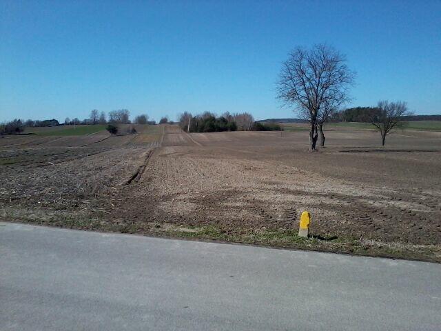 Sprzedam działkę 1,10 ha Czarnoziem, gm. Krasnystaw