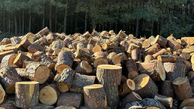 SPRZEDAŻ DREWNA opałowego kominkowego na OPAŁ