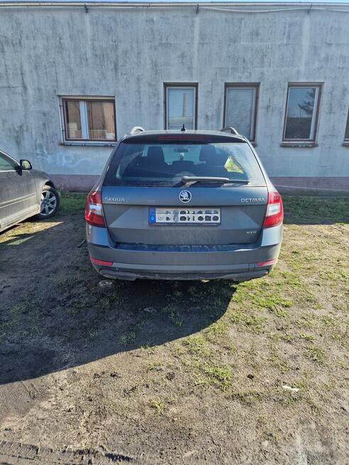 Skoda Octavia 2.0 TDI DSG Drive 4x4 150KM 2017