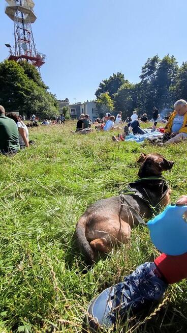 Proszę Weź Mnie do Siebie! Mam całą wyprawkę