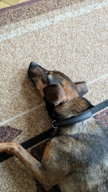 Proszę Weź Mnie do Siebie! Mam całą wyprawkę