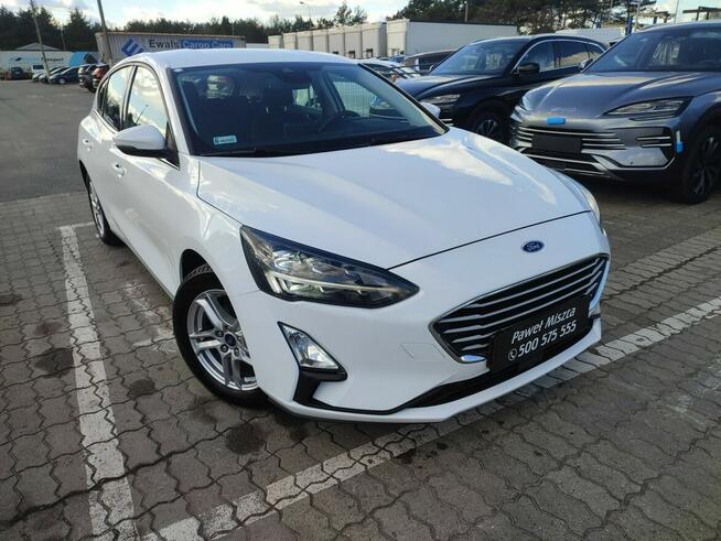 Ford Focus Salon Polska fv23