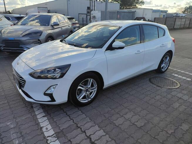 Ford Focus Salon Polska fv23