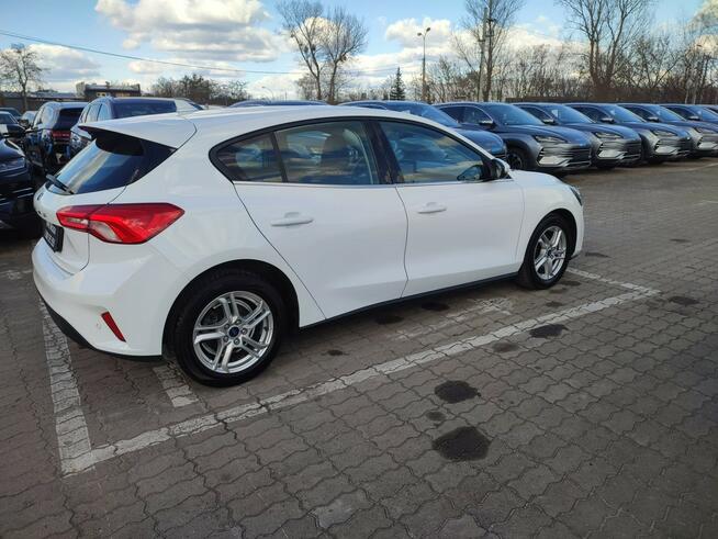 Ford Focus Salon Polska fv23
