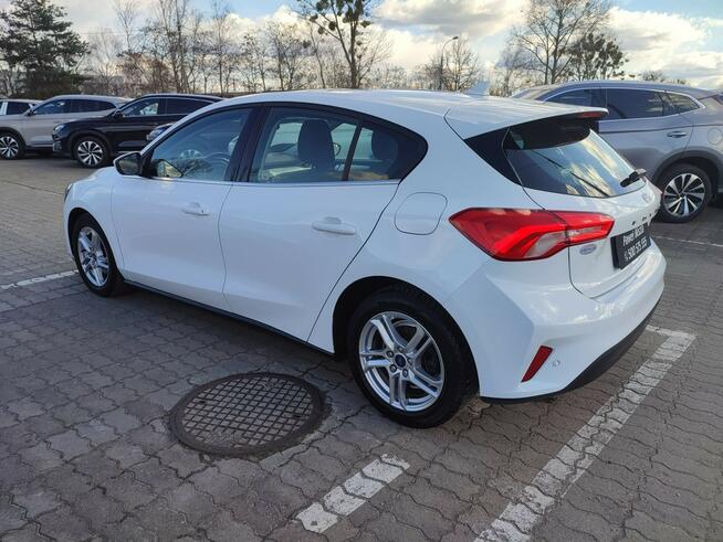 Ford Focus Salon Polska fv23