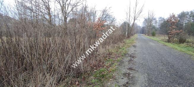 Działka Budowlana 4851 m Budy Grzybek