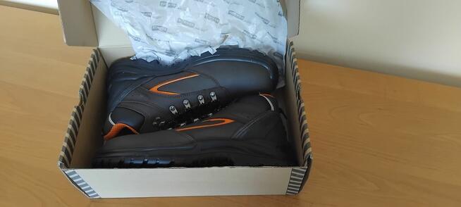 TRZEWIKI BENNON FARMIS S3 High