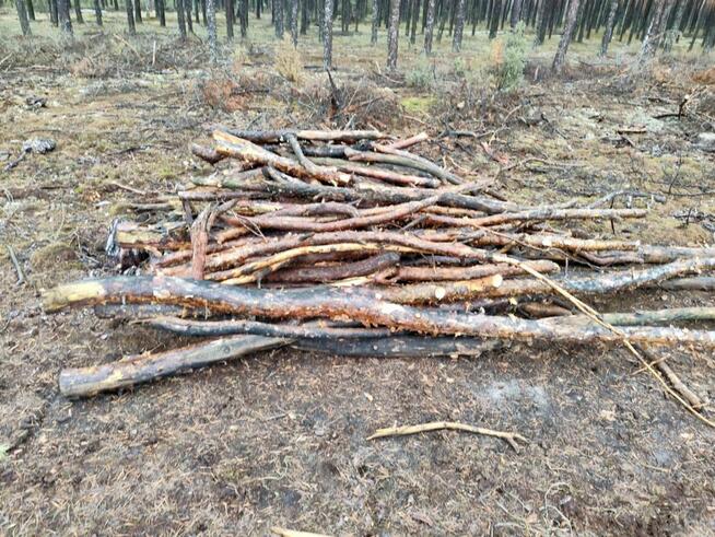 Tani opał GAŁĘZIÓWKA do kominka do ogniska GRUBA