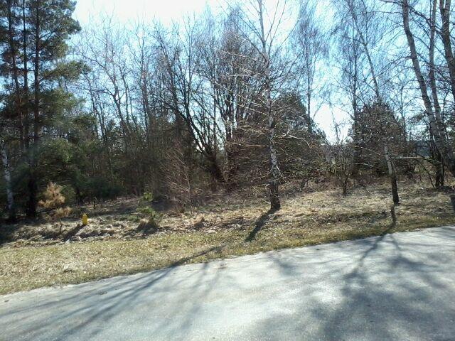 Sprzedam działkę 1,10 ha Czarnoziem, gm. Krasnystaw