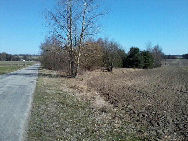 Sprzedam działkę 1,10 ha Czarnoziem, gm. Krasnystaw