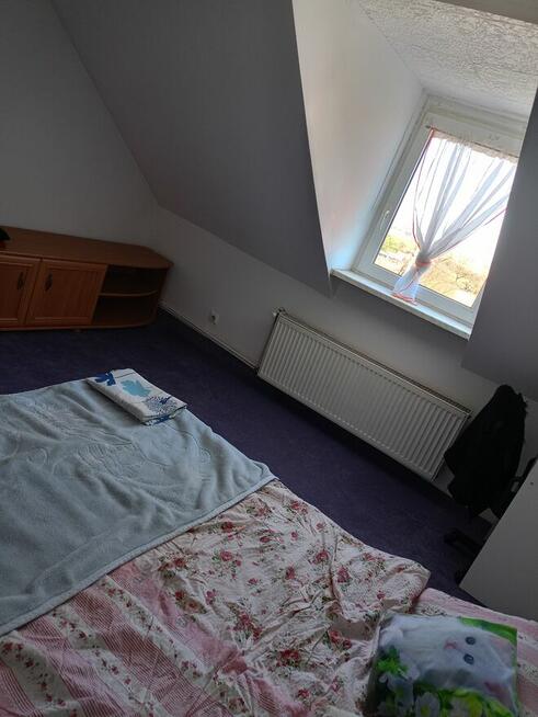 Wynajmę mieszkanie dwupokojowe z ogrodem