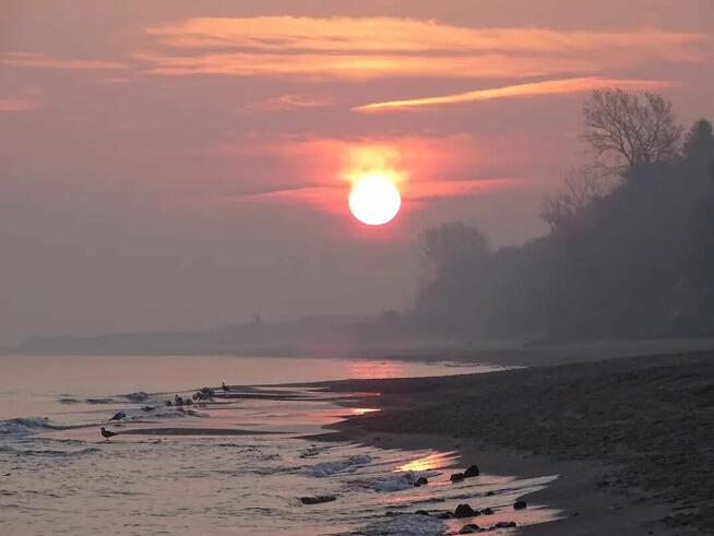 Stały Związek