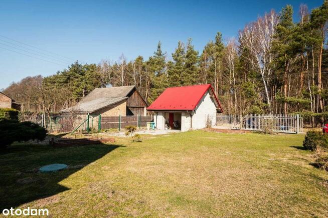 Dom wolnostojący z dużym potencjałem !