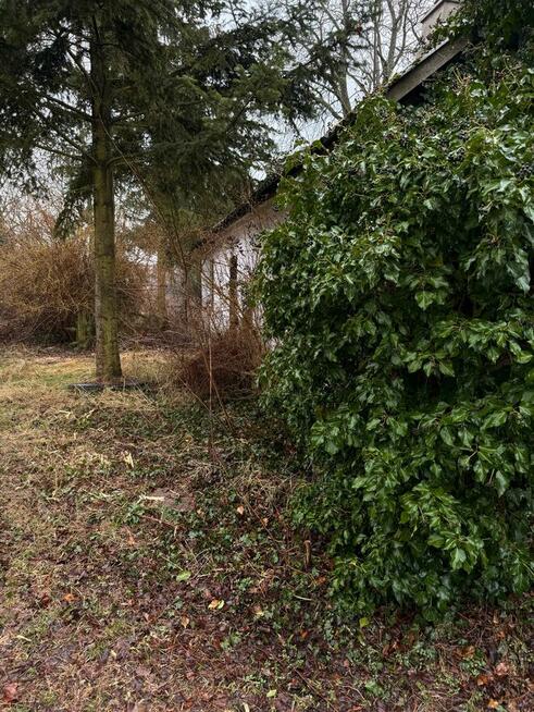 Urocze siedlisko 40 min od Łodzi