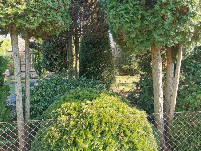 Do sprzedania działka rekreacyjna