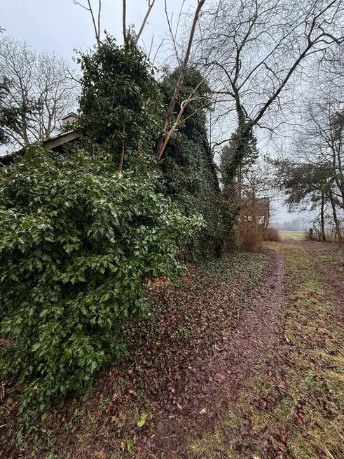 Urocze siedlisko 40 min od Łodzi