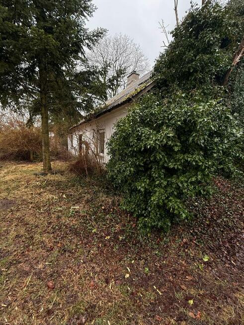 Urocze siedlisko 40 min od Łodzi