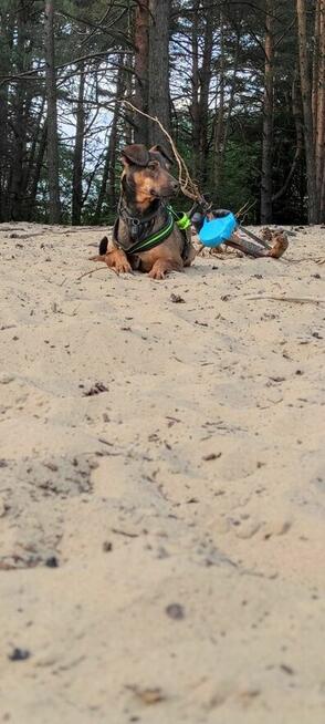 Proszę Weź Mnie do Siebie! Mam całą wyprawkę