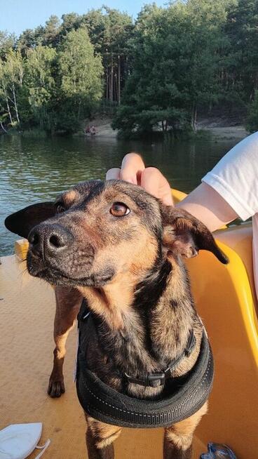 Proszę Weź Mnie do Siebie! Mam całą wyprawkę