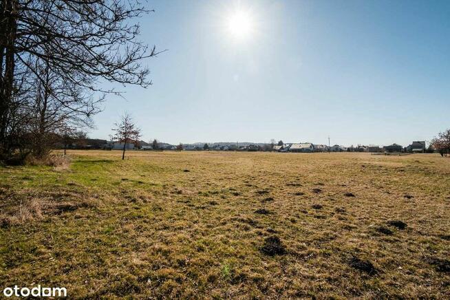 Dom wolnostojący z dużym potencjałem !