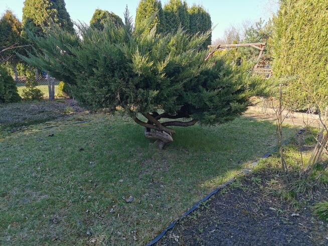 Do sprzedania działka rekreacyjna