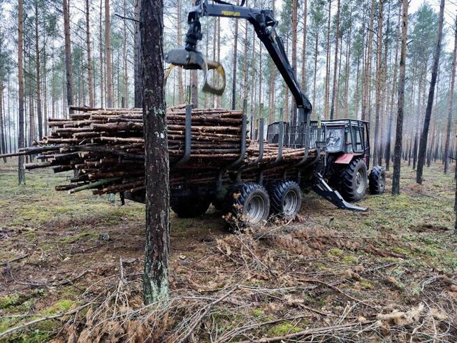 Tani opał GAŁĘZIÓWKA do kominka do ogniska GRUBA