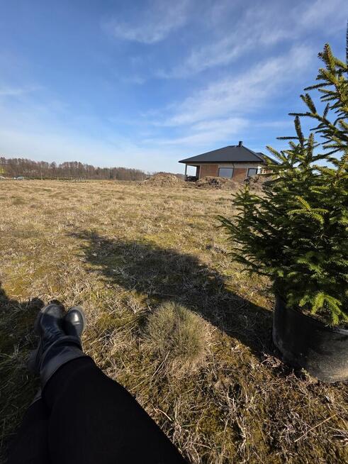 Działki budowlane Jeżów gmina Brzeziny