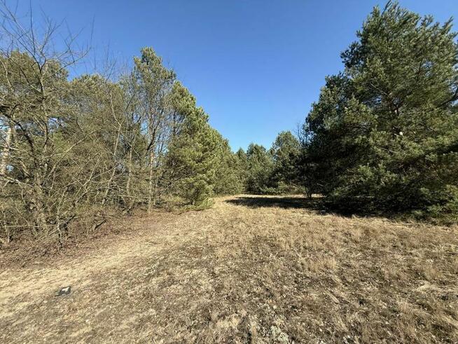 Działka z możliwością zabudowy blisko Gostynina