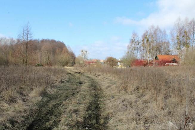 Działka rekreacyjna w Kwiku blisko jeziora Białoławki