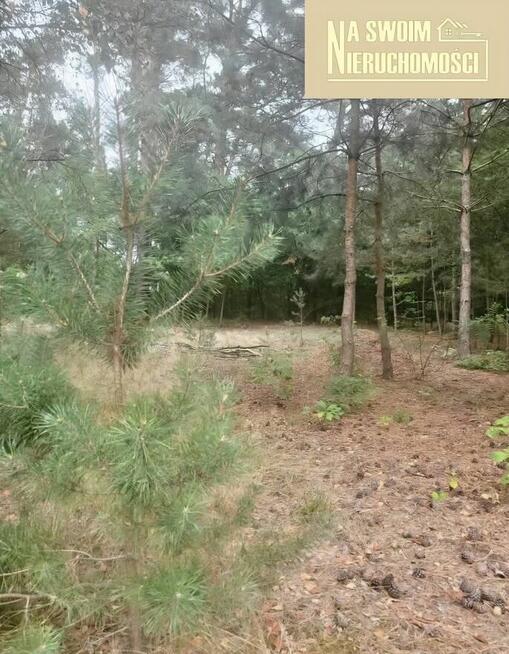 Działka budowlana w lesie Miedźno, 10 min od Sieradza