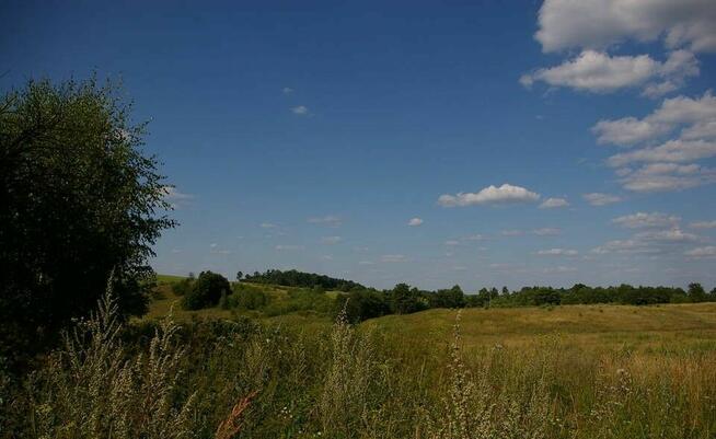 50 ha ziemii z dostępem do jeziora. Mazury Garbate