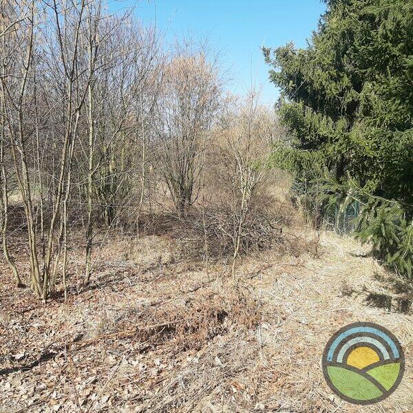 Niegoszowice gm. Zabierzów - działka bud.rolna 5000m2