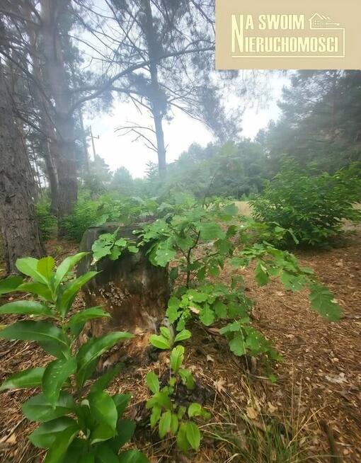Działka budowlana w lesie Miedźno, 10 min od Sieradza