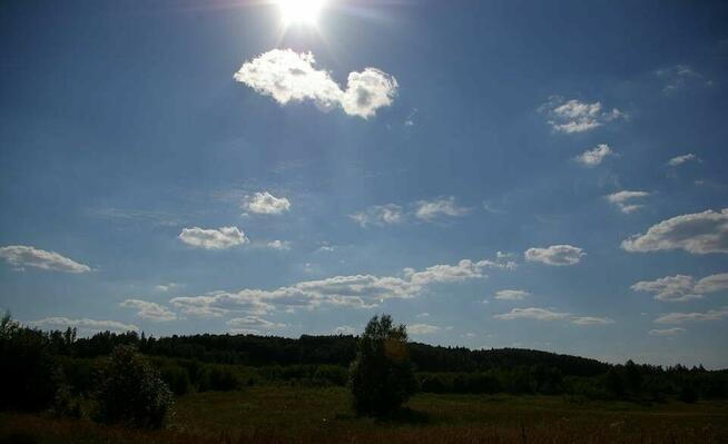 50 ha ziemii z dostępem do jeziora. Mazury Garbate