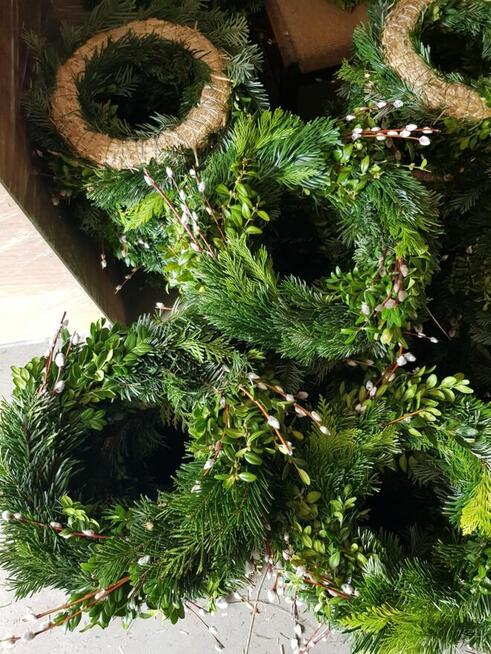 Wianki Wielkanocne, wianki żywe - PRODUCENT